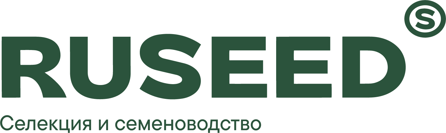 Русид